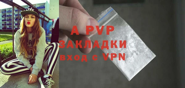 прущие грибы Беломорск