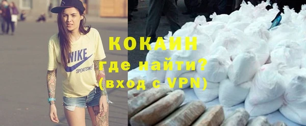 прущие грибы Беломорск
