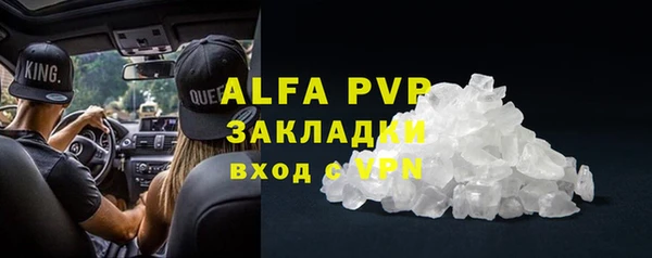 прущие грибы Беломорск