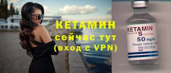 прущие грибы Беломорск