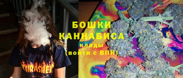 PSILOCYBIN Мегион