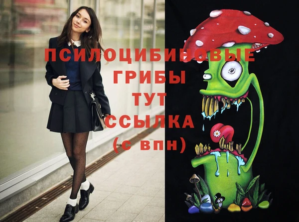 дурь Белоозёрский