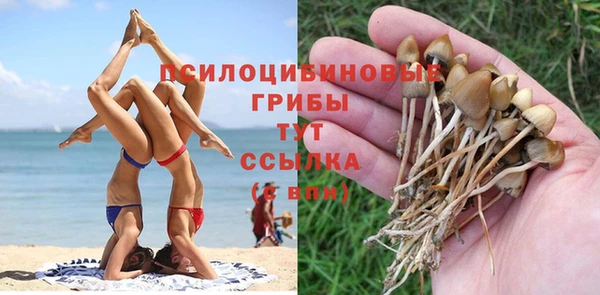 кокаин Белокуриха