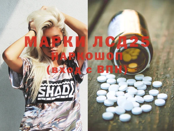 прущие грибы Беломорск